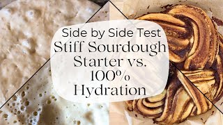 Stiff Sourdough Starter vs Liquid 100% Hydration side by side comparison