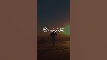 beautifu Holy Quran recitation  #emotionalrecitation #islamicshorts #muslimstatus
