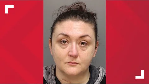 Bridal makeup artist pleads guilty to theft by dec...