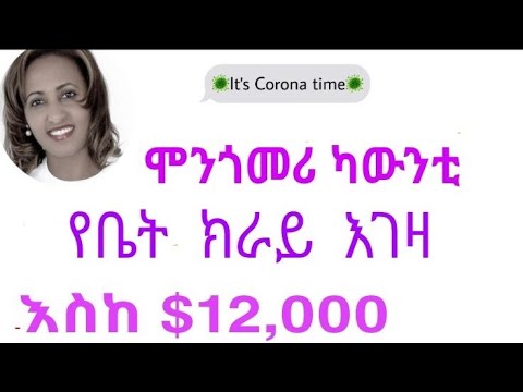 ቪዲዮ: የቤት እንስሳትን ከቲኮች እንዴት እንደሚከላከሉ