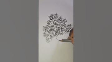 Can you draw a tree easily for this too?❤️❤️👍😉 #easydrawing #artandcraft #drawingideas