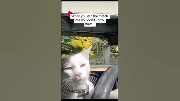 Rise of the Robots X - Weekly meme #gaming #strategy #cardgame  #turnbased #indiegame #unrealengine