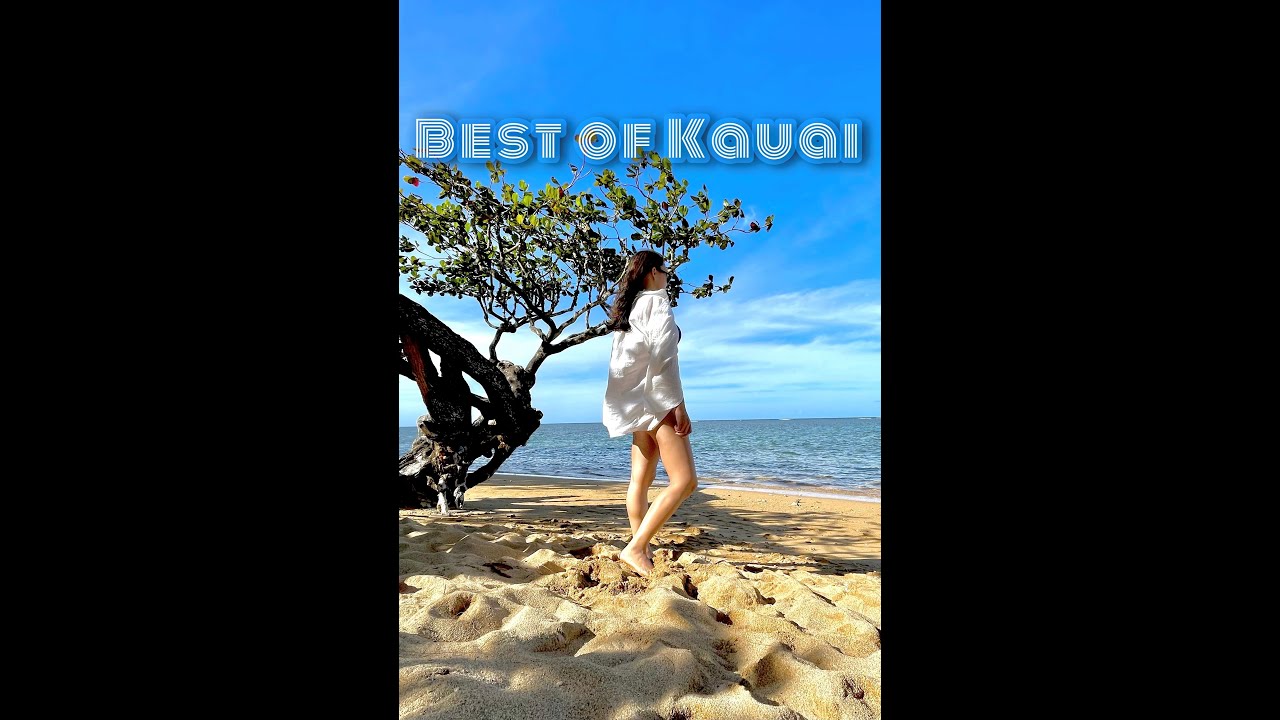 phat aloha mahalo beach cruiser