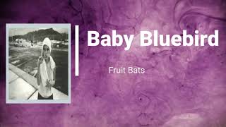 Fruit Bats - Baby Bluebird (Lyrics)