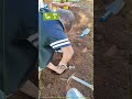 Animation Jardin & Alimentation des Petits Débrouillards de La Réunion !