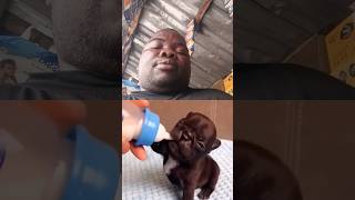 Lorena e manu #dog #peixes #pets #love #god #cuidado #cachorro #dueto #duet #dublagemdeboche