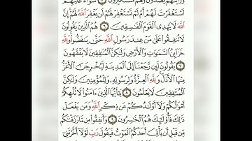 سورة المنافقون