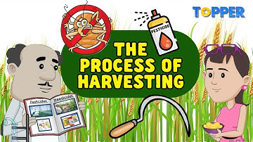 Process and Methods of Harvesting  | Crop Protection | Class 8th |