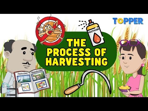 Process and Methods of Harvesting  | Crop Protection | Class 8th |