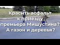 Красить асфальт к приезду премьера Мишустина? А газон и деревья?