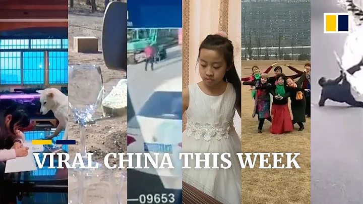 Viral China this week: Well-trained dog supervises girl doing homework and more - DayDayNews