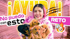 ExtraPolinesios-PASO-24-HORAS-CUIDANDO-A-LOS-CACHORROS-LOS-POLINESIOS-RETO