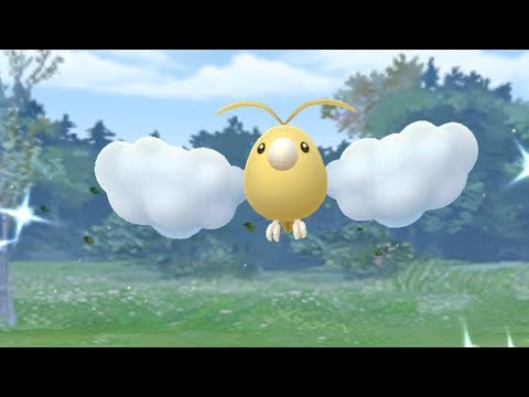 ポケモンgo 色違いチルットゲットの瞬間 Shorts Youtube ポケモンgo 色違いチルットゲットの瞬間 Shorts Youtube