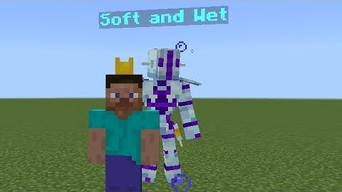 SOFT AND WET SHOWCASE TBW AND STAND DISC ADDON