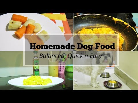 home-cooked-dog-food-recipe-|-home-cooked-meal-recipe-for-dogs-|-balanced-easy-homemade-dog-food