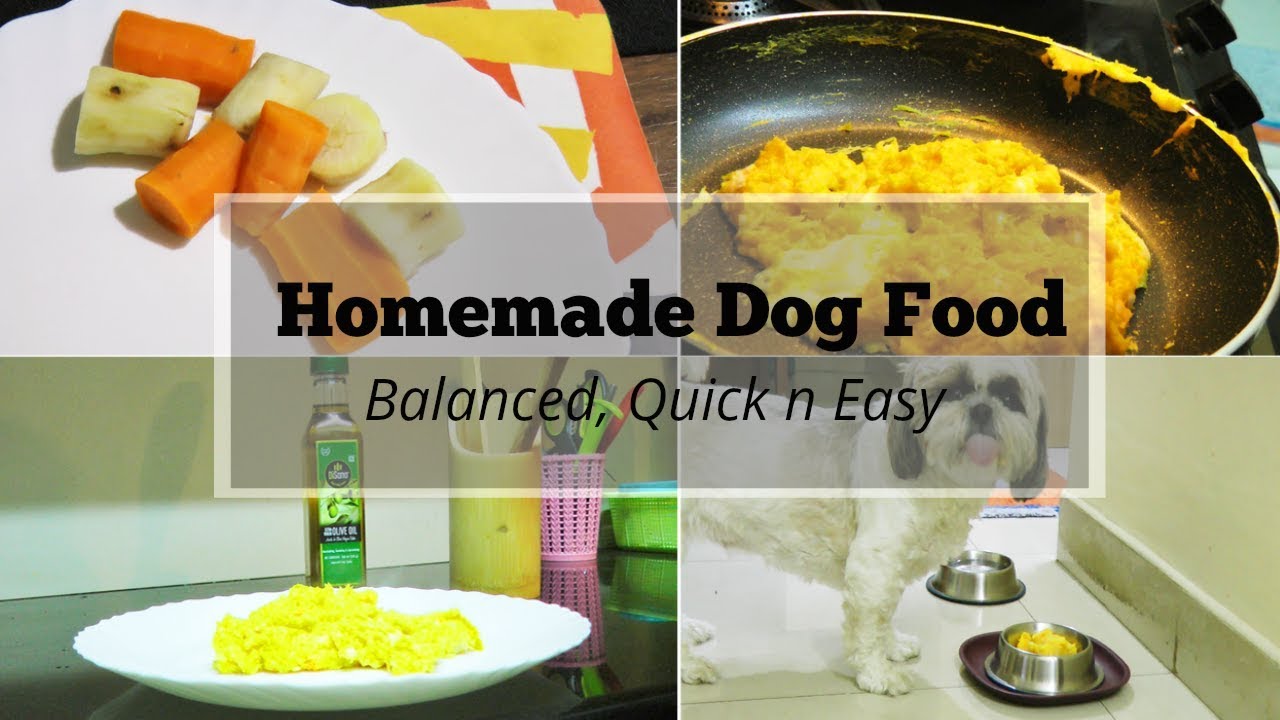 balanced home cooked diet for dogs