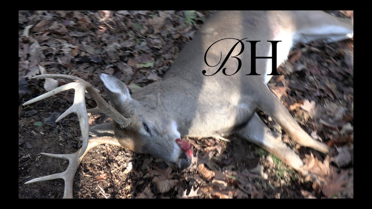 NC Deer Hunting The "BIG 10" Goes Down!! YouTube