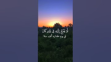 يدبر الأمر من السماء سورة السجدة ماهر المعيقلي حلات واتس اب #duet #اكسبلور #حالات_واتس