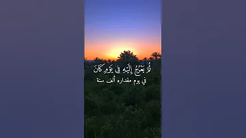 يدبر الأمر من السماء سورة السجدة ماهر المعيقلي حلات واتس اب Duet اكسبلور حالات واتس 