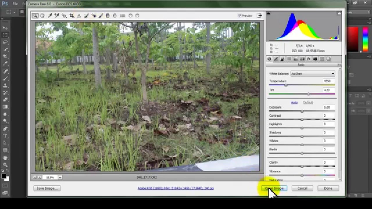 Cara Mengubah Foto Format CR2 / Camera Raw ke JPG di