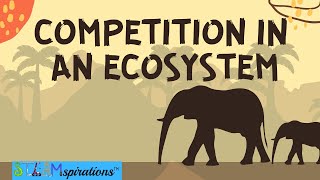 Competition in an Ecosystem| Mutualism, Intraspecific, Interspecific,  Relationships