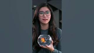 Anjing Isyana Sarasvati Mati Digigit Monyet :( | Milly & Mamet | #Shorts