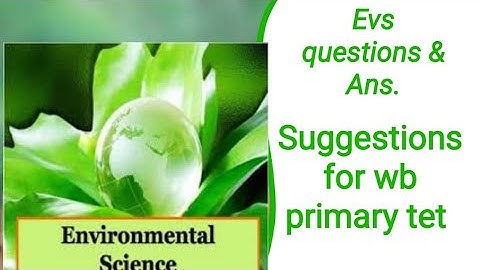 Wb primary tet 2022 ll Evs Suggestive question & Ans. Important questions & ans.@wasimacademy