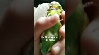 Kuşum Öldü 😭 - Fatiha