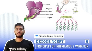 Principles of Inheritance & Variation Part 5 | Decode NCERT | NEET Biology | Sourav Sir | Unacademy