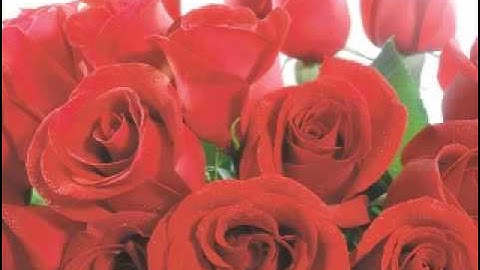 How to Seek a Righteous Spouse - Hassan as Sumaalee
