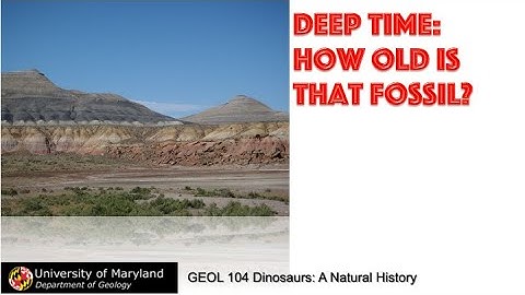 Lecture 6 Fossils & Fossilization (concl.); Deep Time: How Old is That Fossil?  Part 1