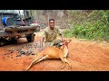 Epic wild deer hunt in guyana