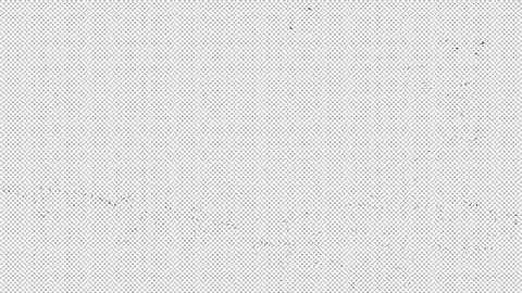 [PREVIEW] Video footage of real FLOCK OF BIRDS 09 flying with ALPHA CHANNEL in full HD and 4K