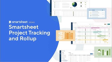 Project Tracking and Roll-up
