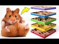 Amazing DIY 5-level Maze For Active Hamsters 🐹