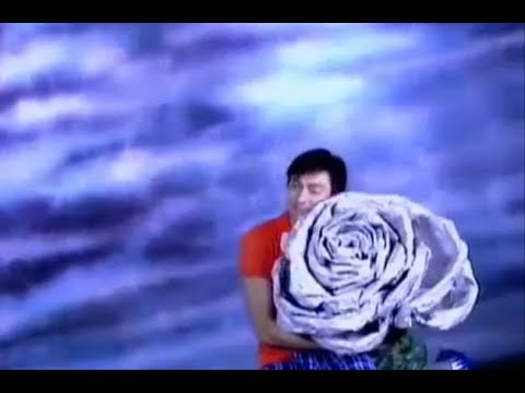 花心 - Hua Xin