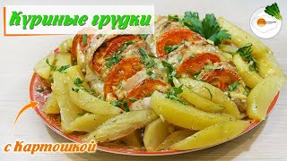 Куриные грудки, запеченные с картофелем в рукаве в духовке. Chicken Breasts with potatoes Куриные грудки, запеченные с картофелем в рукаве в духовке. Chicken Breasts with potatoes