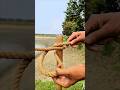 Genius Rope Knot Trick Every Camper Should Know 🪢 #OutdoorLife #KnotTricks