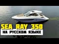 Sea Ray 350. Обзор. Перевод с английского. Самые популярные моторные яхты 10-12 метров.