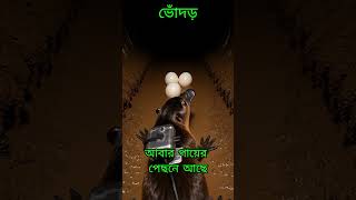 পৃথিবীর সবচেয়ে অদ্ভুত প্রাণী! 👀✨