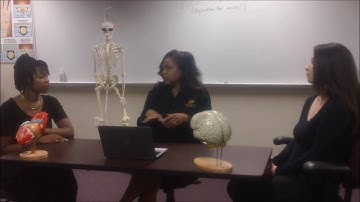 Algonite/T-stem Final Video