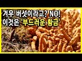 중국판 골드러시, 동충하초 (2013.06.22.방송)