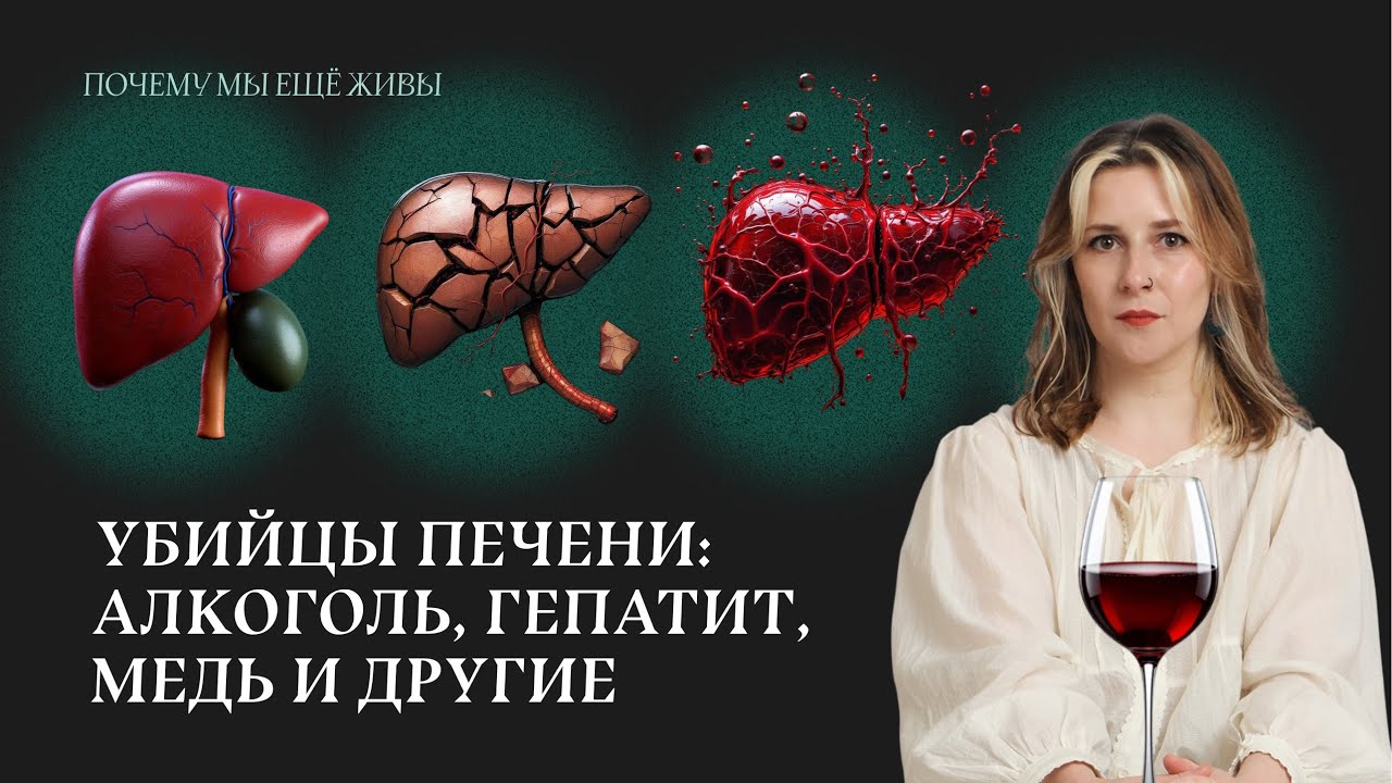 Самый живучий орган: история цирроза печени | Почему мы еще живы