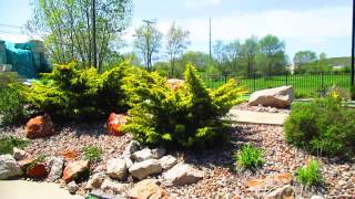 Roc Ice Cream and Mini golf in East Peoria IL