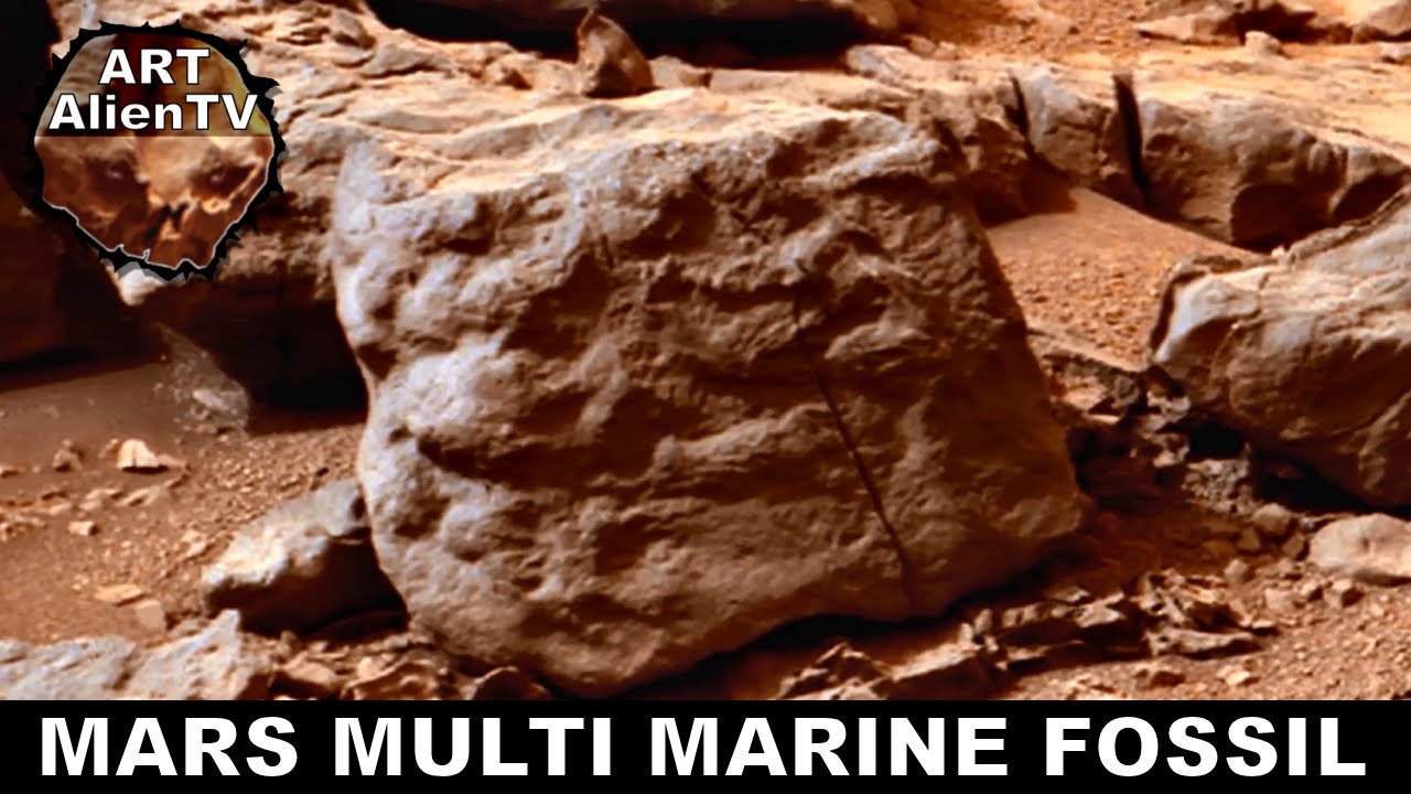rovera Mars Multi Marine Fossil: Ancient Alien Cataclysm Decoded. ArtAlienTV 720p60