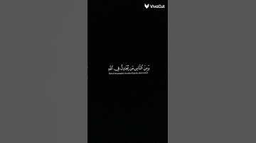 أرح قلبك بالإستماع الى القرآن الكريم 🫀🫀