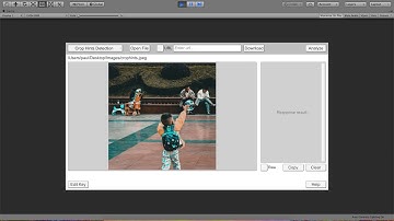 Google Cloud Vision for Unity - Crop Hints Detection