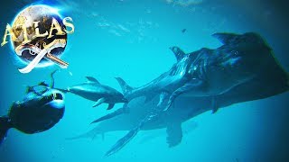 Asi Son Todas Las Criaturas Marinas De Atlas Playinkz