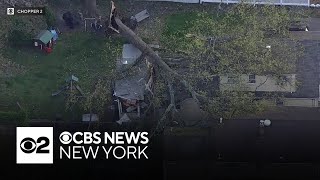 Tree falls onto house in Passaic County, New Jersey