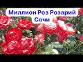 Сочи Розарий. Одни розы🌷